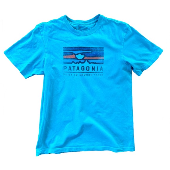 Patagonia Built to endure 1973 logo shirt light blue small - Picture 1 of 1